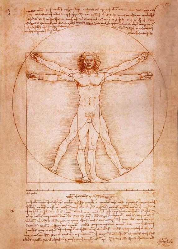 LEONARDO da Vinci Rule fur the proportion of the human figure china oil painting image